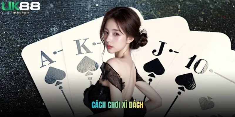 Cách Chơi Xì Dách: Hướng Dẫn Đầy Đủ Cho Newbie Tại UK88
